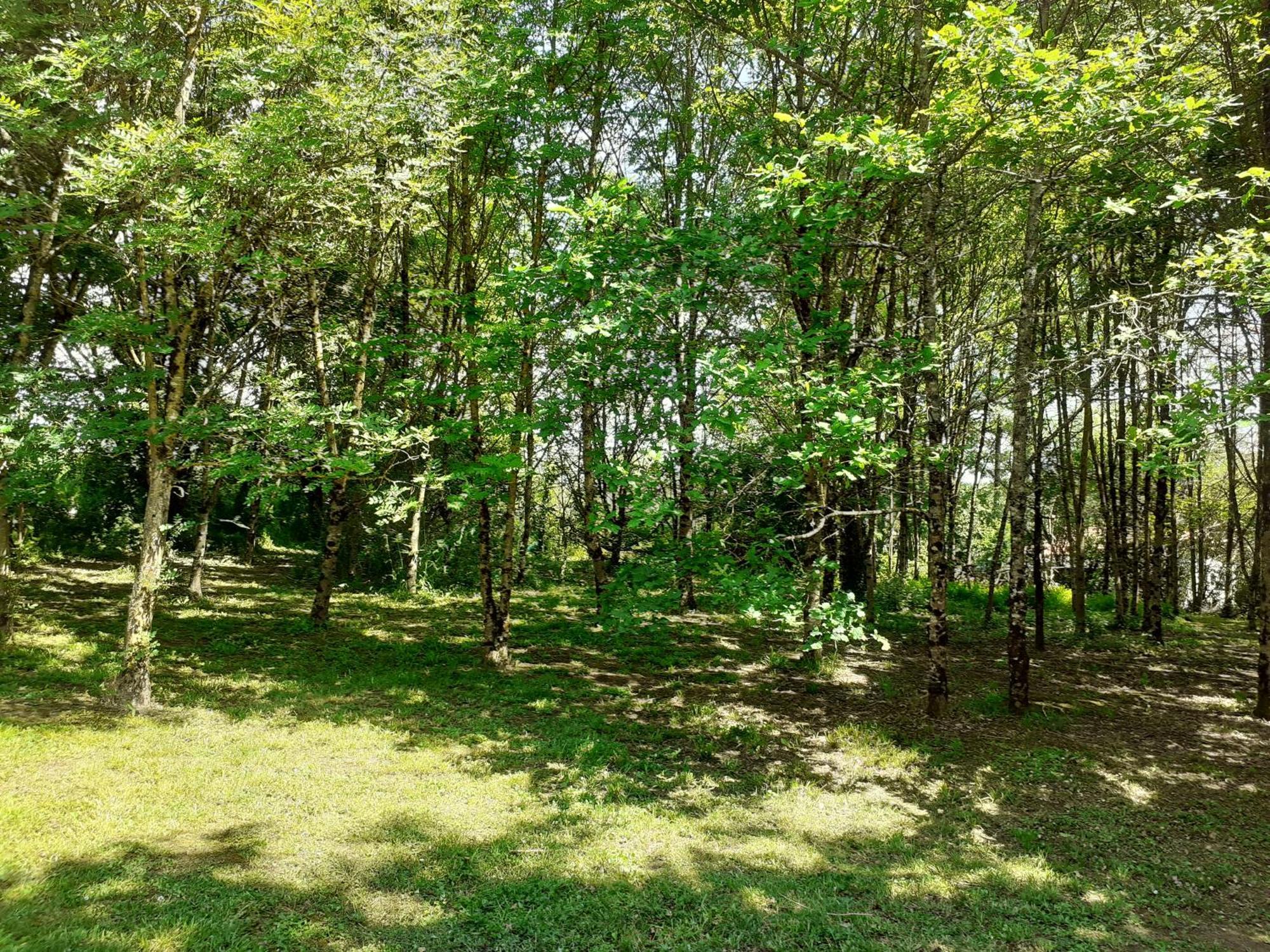 La Villa Le Petit Bois, Pres Rocamadour, Padirac Lavergne  Zewnętrze zdjęcie